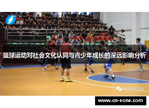 篮球运动对社会文化认同与青少年成长的深远影响分析