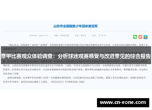 意甲比赛观众体验调查：分析球迷观赛感受与改进意见的综合报告