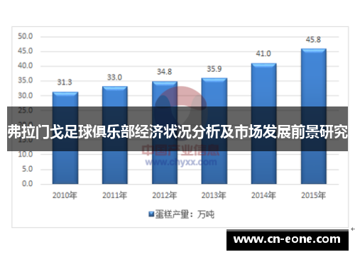 弗拉门戈足球俱乐部经济状况分析及市场发展前景研究