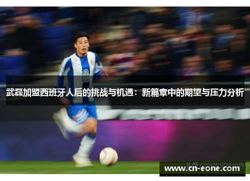 武磊加盟西班牙人后的挑战与机遇：新篇章中的期望与压力分析