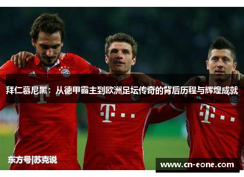 拜仁慕尼黑：从德甲霸主到欧洲足坛传奇的背后历程与辉煌成就