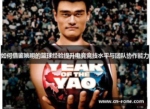 如何借鉴姚明的篮球经验提升电竞竞技水平与团队协作能力