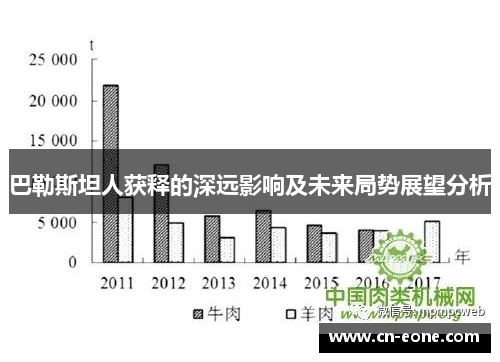 巴勒斯坦人获释的深远影响及未来局势展望分析