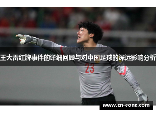 王大雷红牌事件的详细回顾与对中国足球的深远影响分析