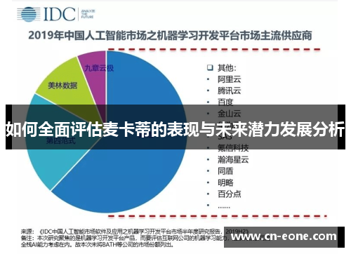 如何全面评估麦卡蒂的表现与未来潜力发展分析