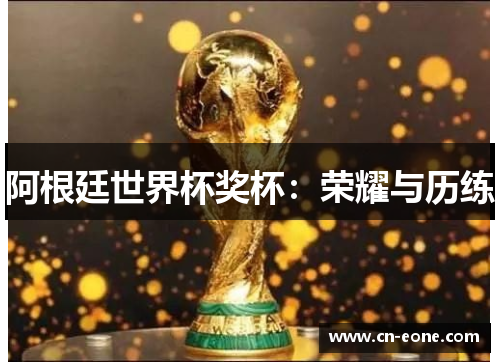 阿根廷世界杯奖杯：荣耀与历练