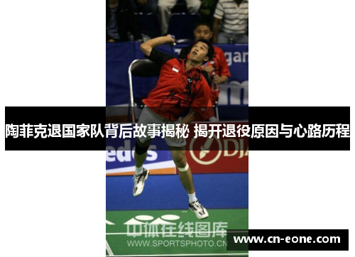 陶菲克退国家队背后故事揭秘 揭开退役原因与心路历程