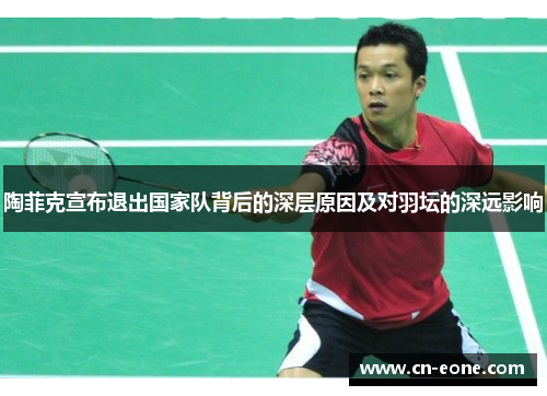 陶菲克宣布退出国家队背后的深层原因及对羽坛的深远影响