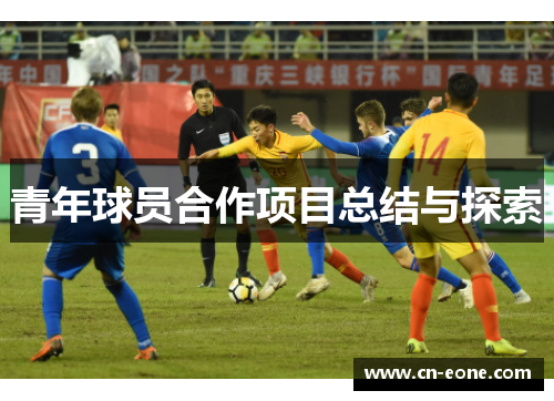 青年球员合作项目总结与探索