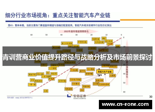 青训营商业价值提升路径与战略分析及市场前景探讨