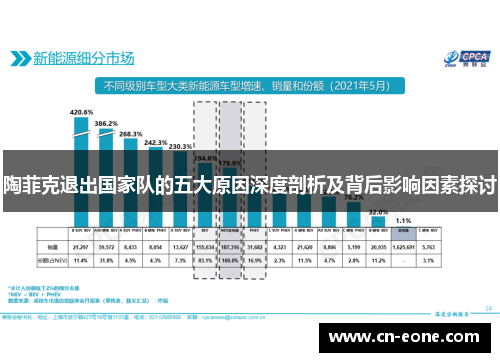 陶菲克退出国家队的五大原因深度剖析及背后影响因素探讨