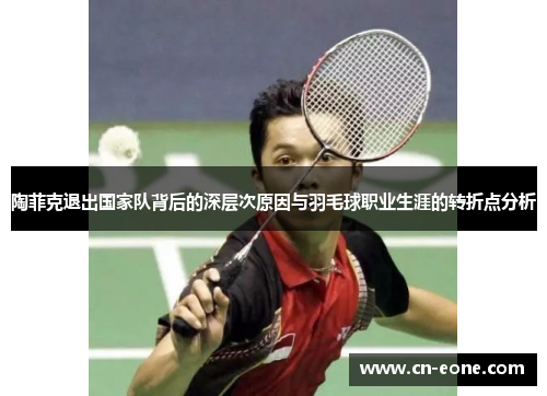 陶菲克退出国家队背后的深层次原因与羽毛球职业生涯的转折点分析