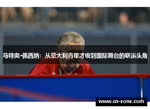 马特奥·佩西纳：从意大利青年才俊到国际舞台的崭露头角