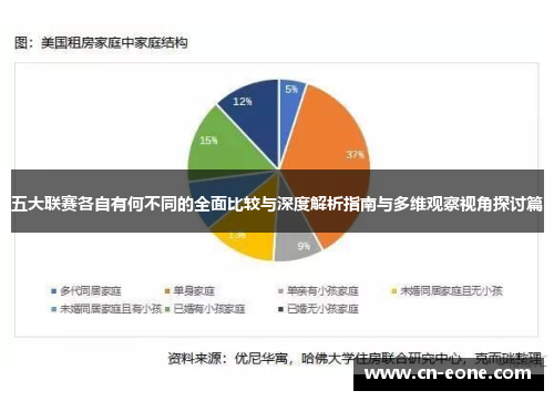 五大联赛各自有何不同的全面比较与深度解析指南与多维观察视角探讨篇