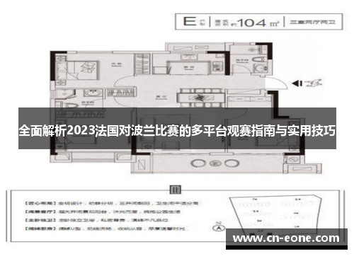全面解析2023法国对波兰比赛的多平台观赛指南与实用技巧