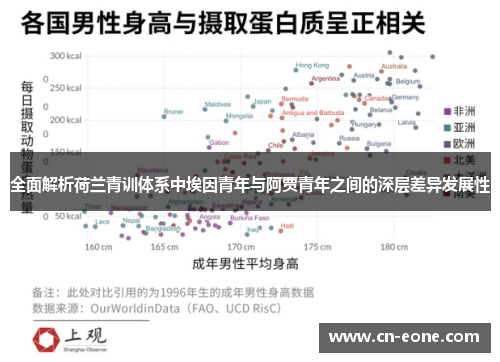 全面解析荷兰青训体系中埃因青年与阿贾青年之间的深层差异发展性