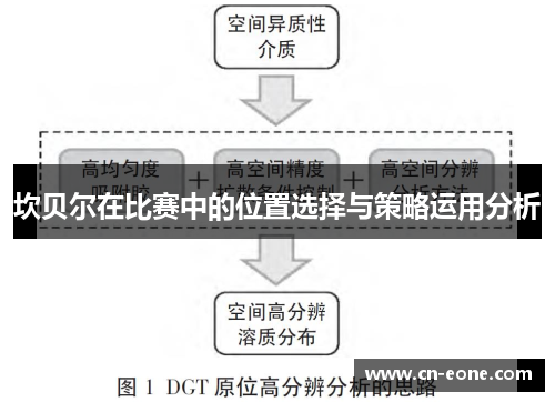 坎贝尔在比赛中的位置选择与策略运用分析