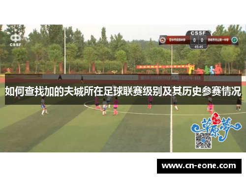 如何查找加的夫城所在足球联赛级别及其历史参赛情况