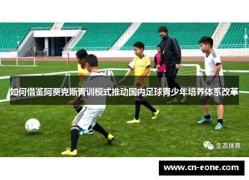 如何借鉴阿贾克斯青训模式推动国内足球青少年培养体系改革