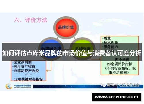 如何评估卢库米品牌的市场价值与消费者认可度分析
