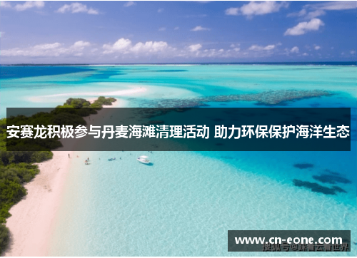 安赛龙积极参与丹麦海滩清理活动 助力环保保护海洋生态