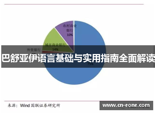 巴舒亚伊语言基础与实用指南全面解读