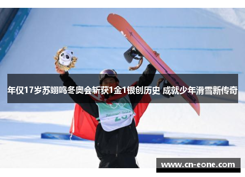 年仅17岁苏翊鸣冬奥会斩获1金1银创历史 成就少年滑雪新传奇