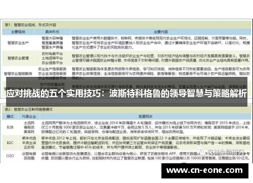 应对挑战的五个实用技巧：波斯特科格鲁的领导智慧与策略解析