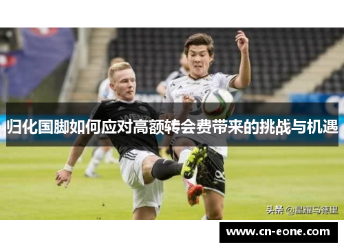 归化国脚如何应对高额转会费带来的挑战与机遇