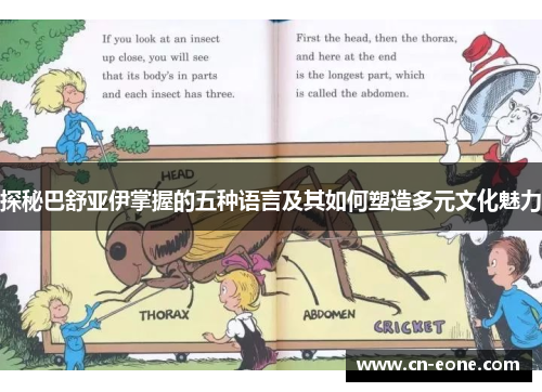 探秘巴舒亚伊掌握的五种语言及其如何塑造多元文化魅力